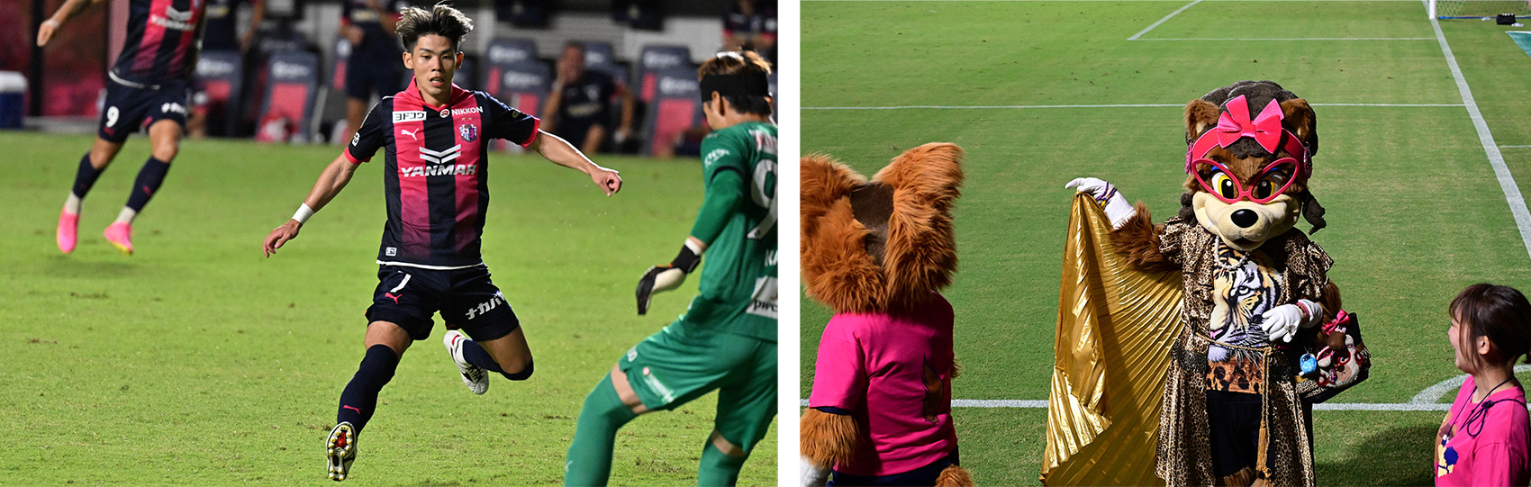 最高の瞬間を収めよう！フォトサポシート設置！ | セレッソ大阪オフィシャルウェブサイト | Cerezo OSAKA